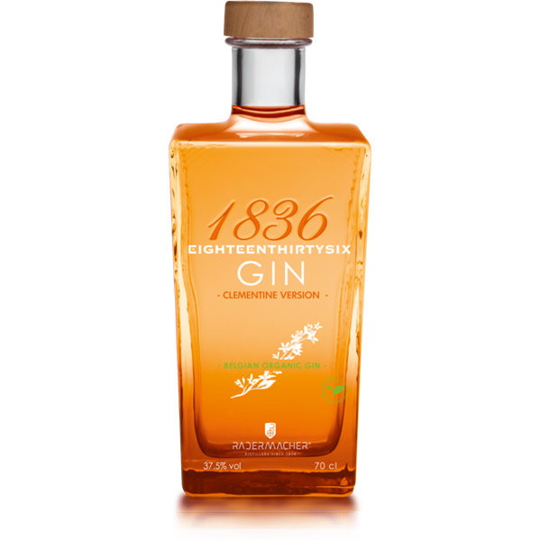 bottle Gin clementina 600x600 1