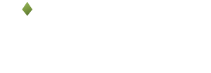 logo light